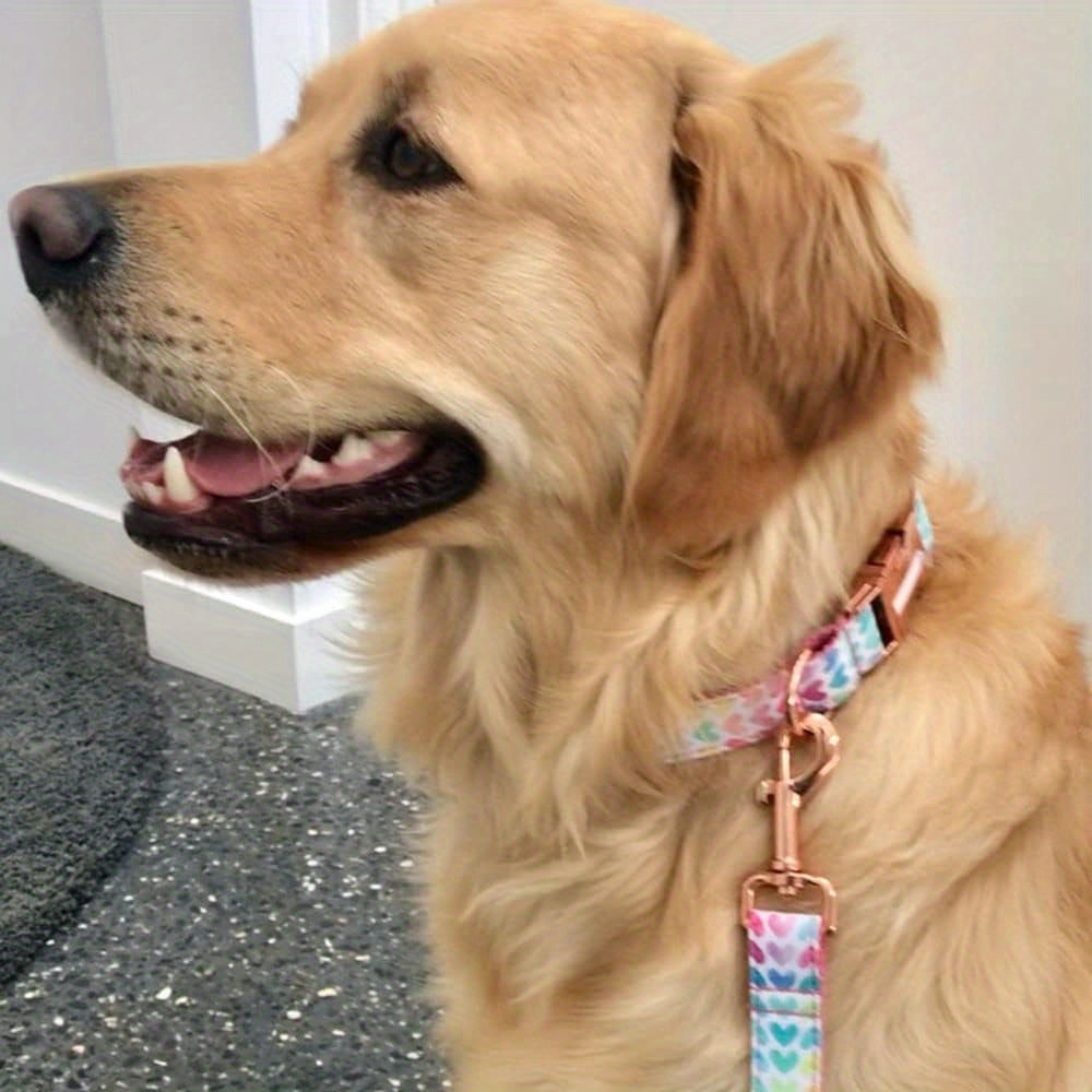 Personalized Dog Collar with Engraved Name and Phone for Medium and Large Dogs