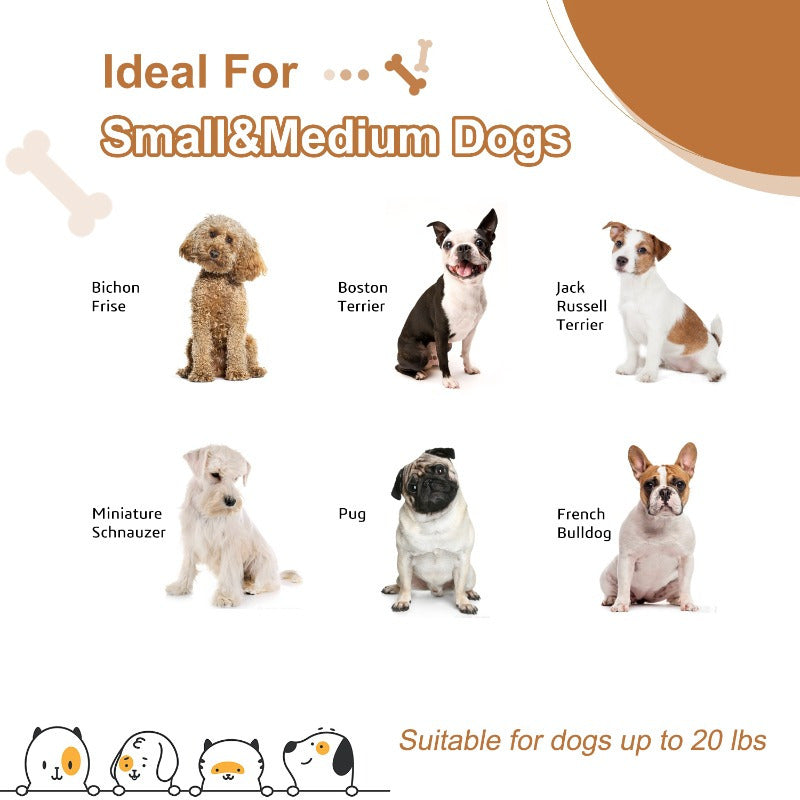 Modern Wooden Pet Sofa Bed for Small to Medium Dogs and Cats with Washable Cushion in Light Gray