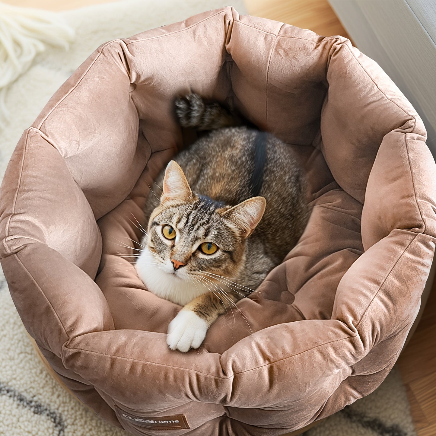 ClevaHome Deep Nest Cat Bed for Small Pets Luxurious Velvet Round Cat Bed with Non-Slip Bottom