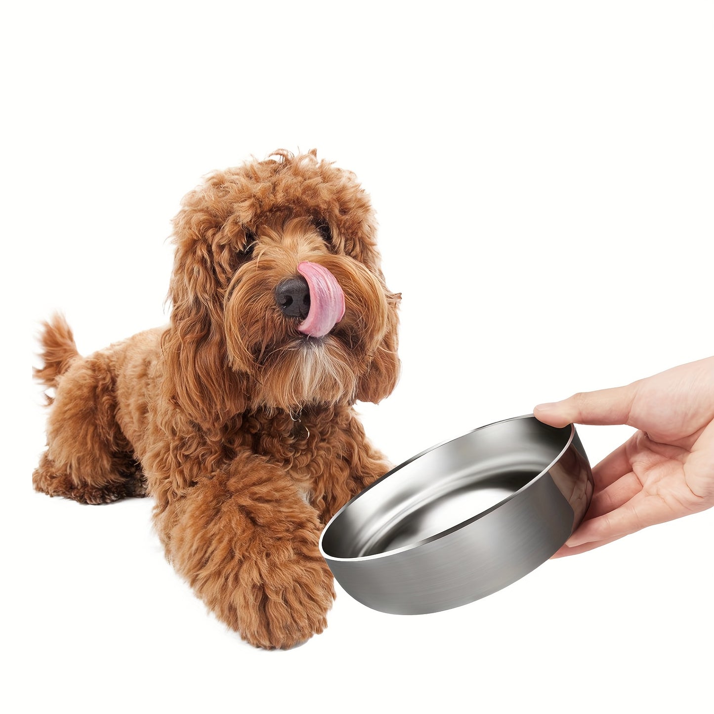 Stainless Steel Double Wall Insulated Dog Bowl with Non-Slip Base for Food and Water