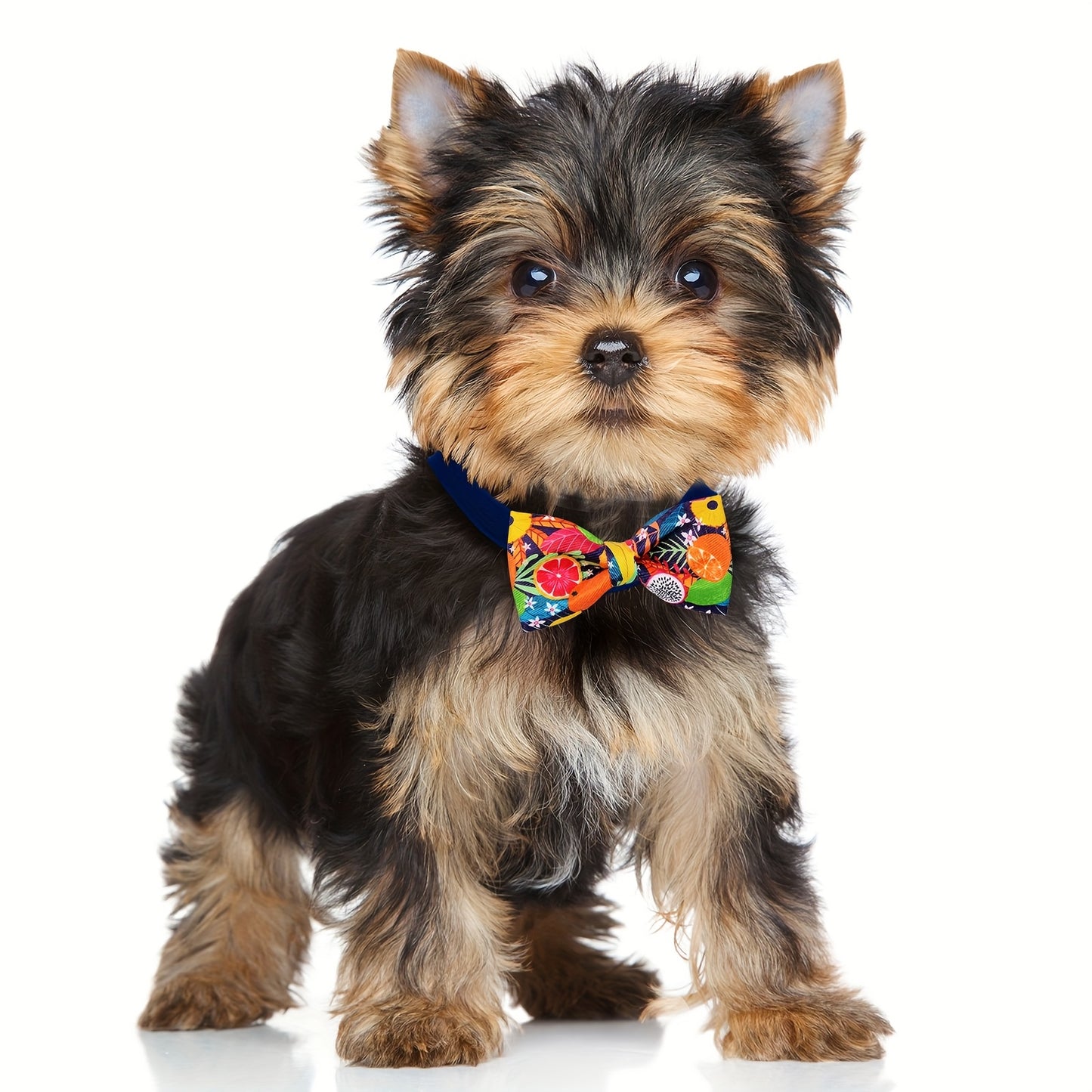 30 Piece Hawaiian Dog Collar Bow Tie Set for Small Medium Large Dogs and Cats