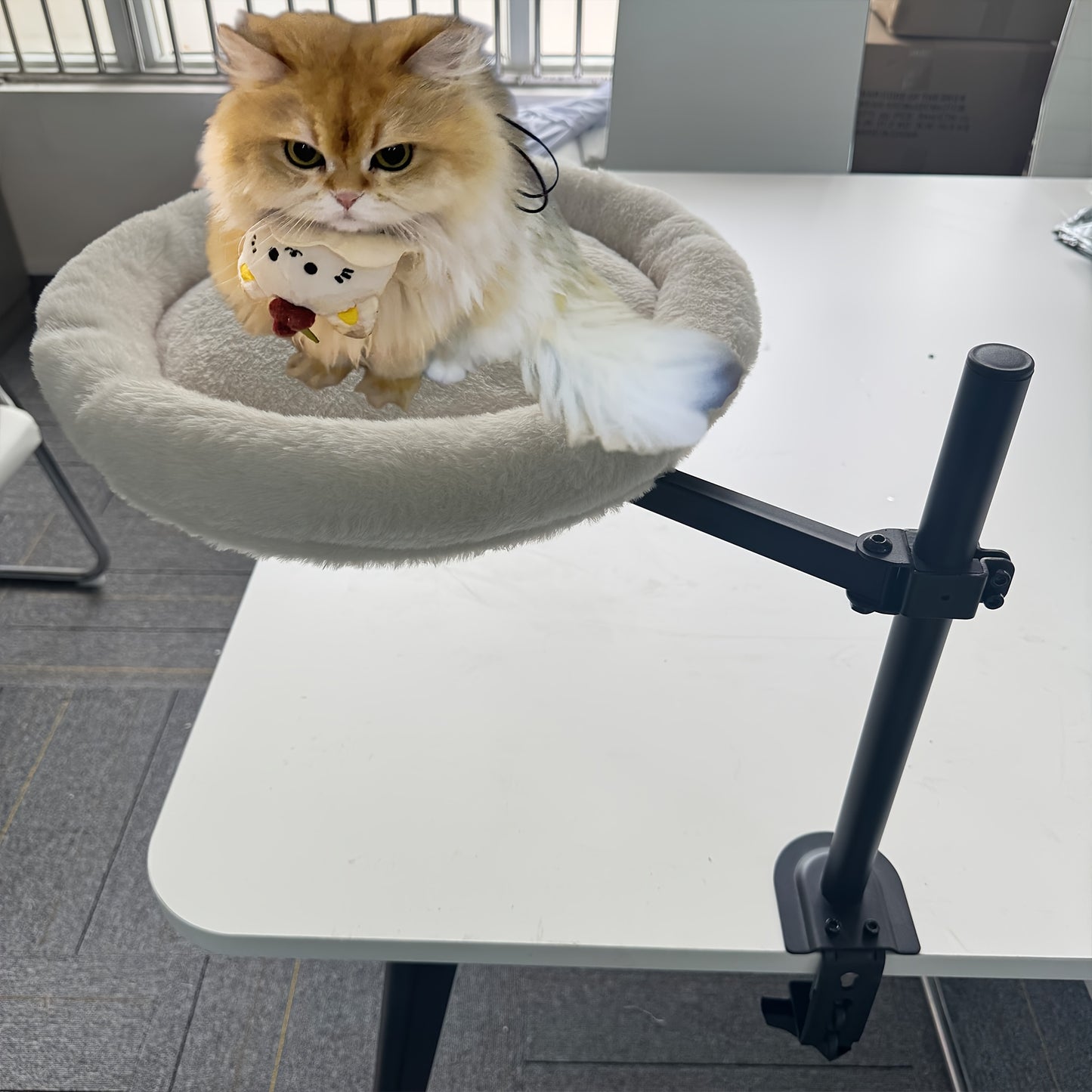 Installed Desktop Cat Bed for Home Offices and Apartments Comfortable Cat Furniture Accessory