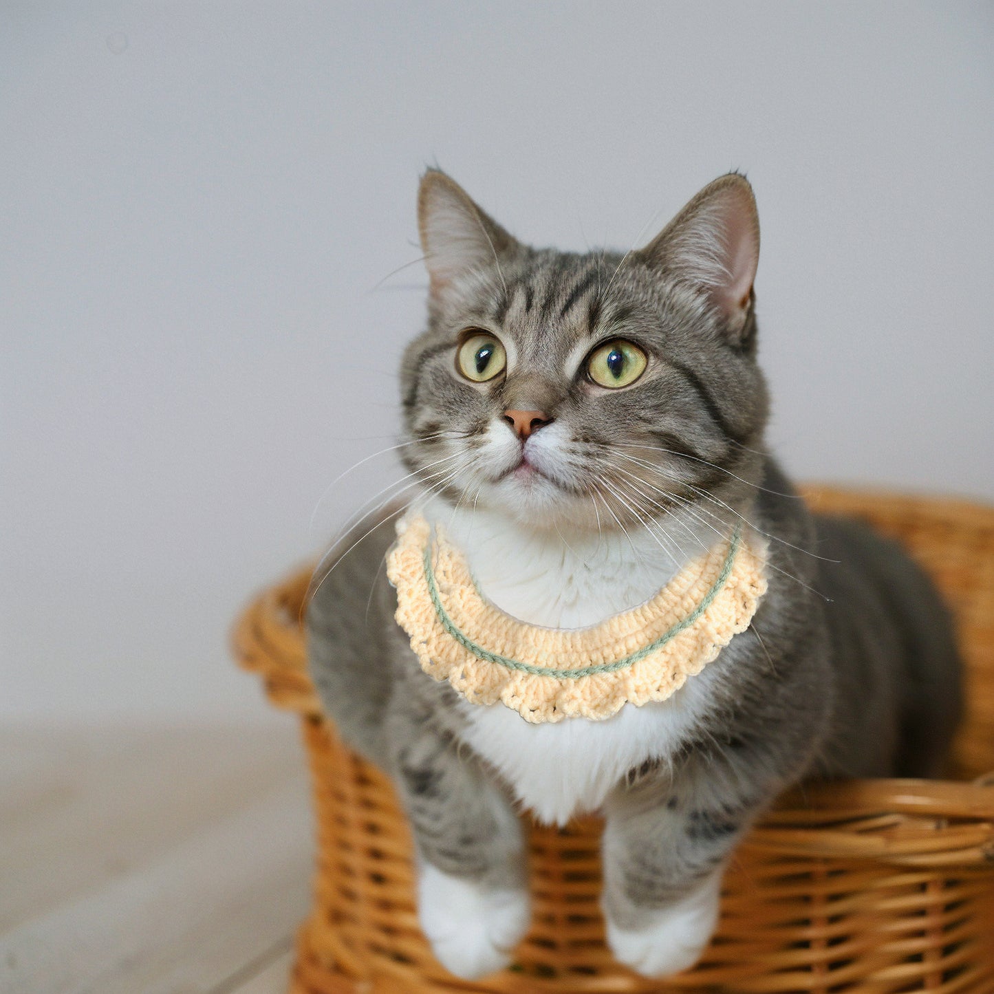 4pcs Handmade Knitted Pet Scarf Set Cute Doll Accessories for Cats and Dogs Christmas Gift