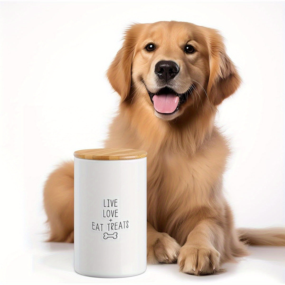 Large Ceramic Dog Treat Jar With Airtight Lid White Counter