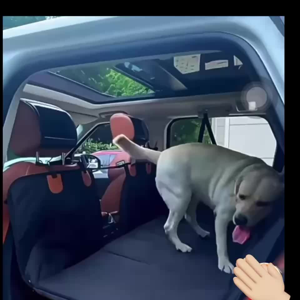 Heavy Duty Waterproof Dog Car Seat Extender with Non Slip Scratchproof Pet Protector