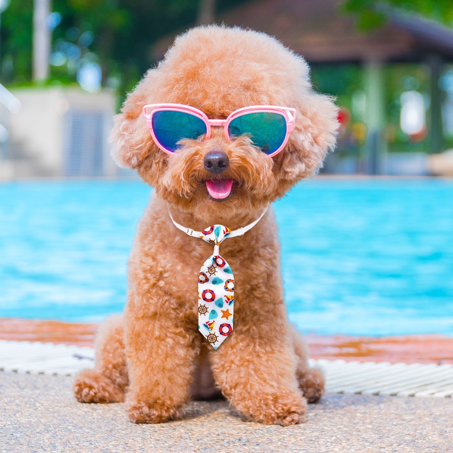 50 Pieces Adjustable Dog Bowties Multi Style Washable Pet Grooming Accessories in Mixed Colors