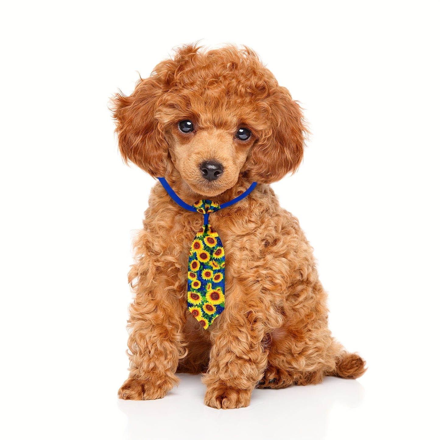 50 Pieces Adjustable Dog Bowties Multi Style Washable Pet Grooming Accessories in Mixed Colors