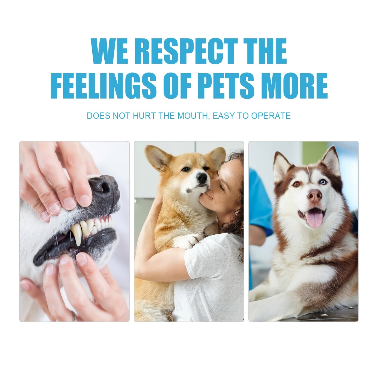 Three Piece Pack Pet Oral Care And Cleaning Kit With Gentle Stain Removal
