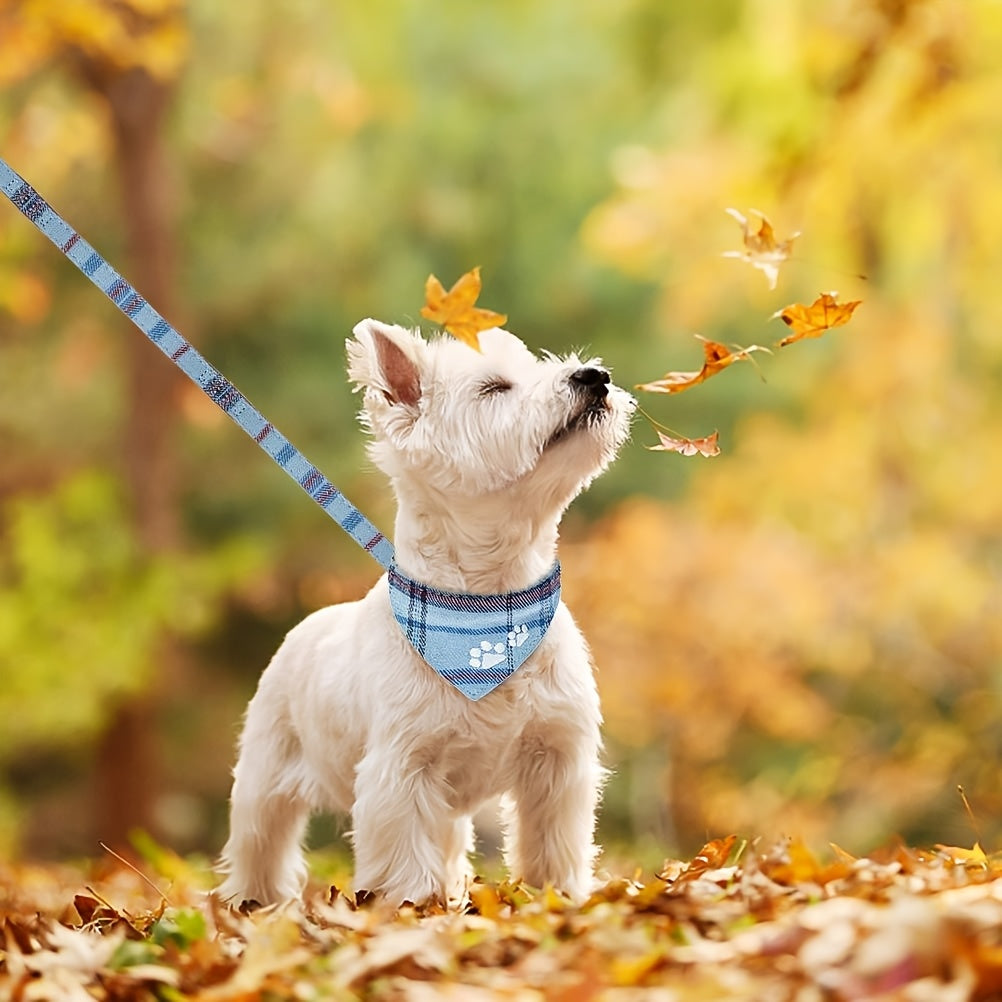 Cute Blue Plaid Dog Collar and Leash Set with Bow Tie and Bandana for Outdoor Walking