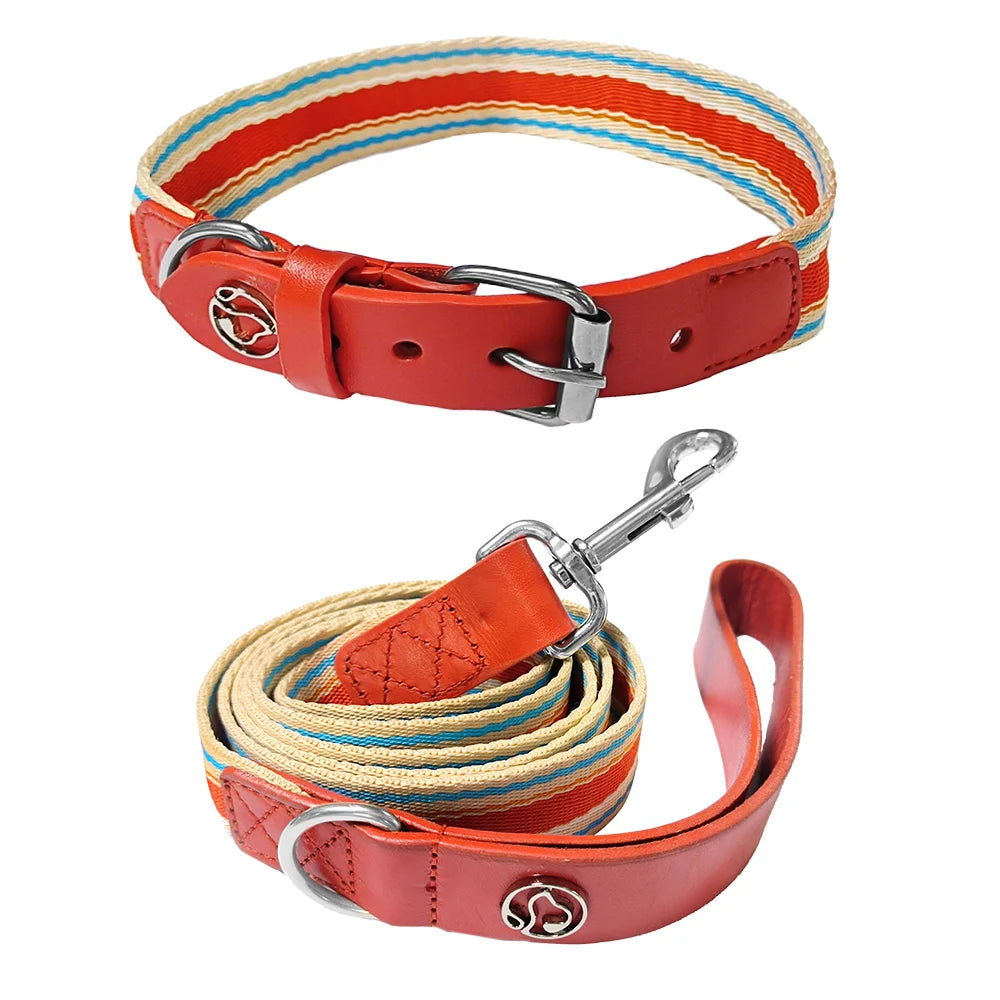 Adjustable Dog Collar and Leash Set for Small Medium Large Dogs