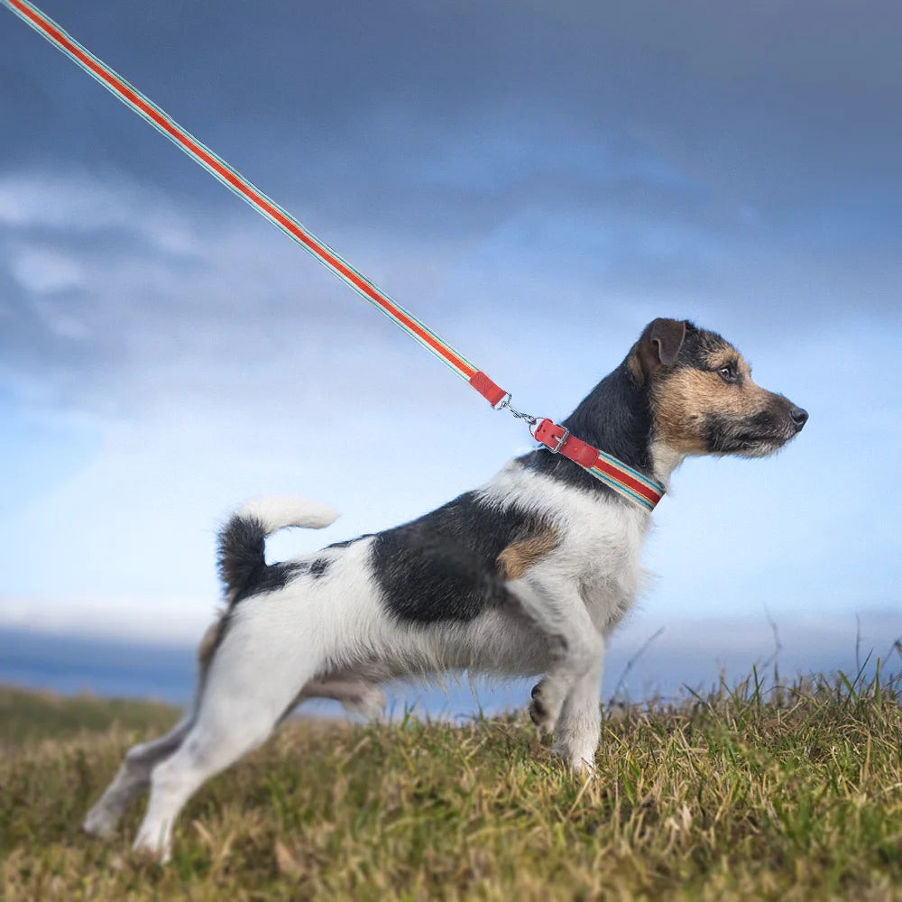 Adjustable Dog Collar and Leash Set for Small Medium Large Dogs