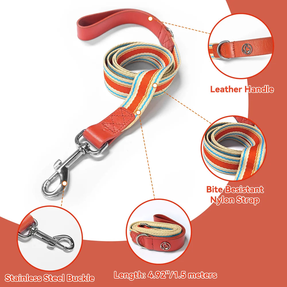 Adjustable Dog Collar and Leash Set for Small Medium Large Dogs