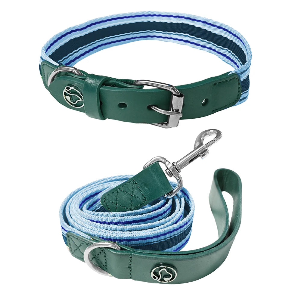 Adjustable Dog Collar and Leash Set for Small Medium Large Dogs