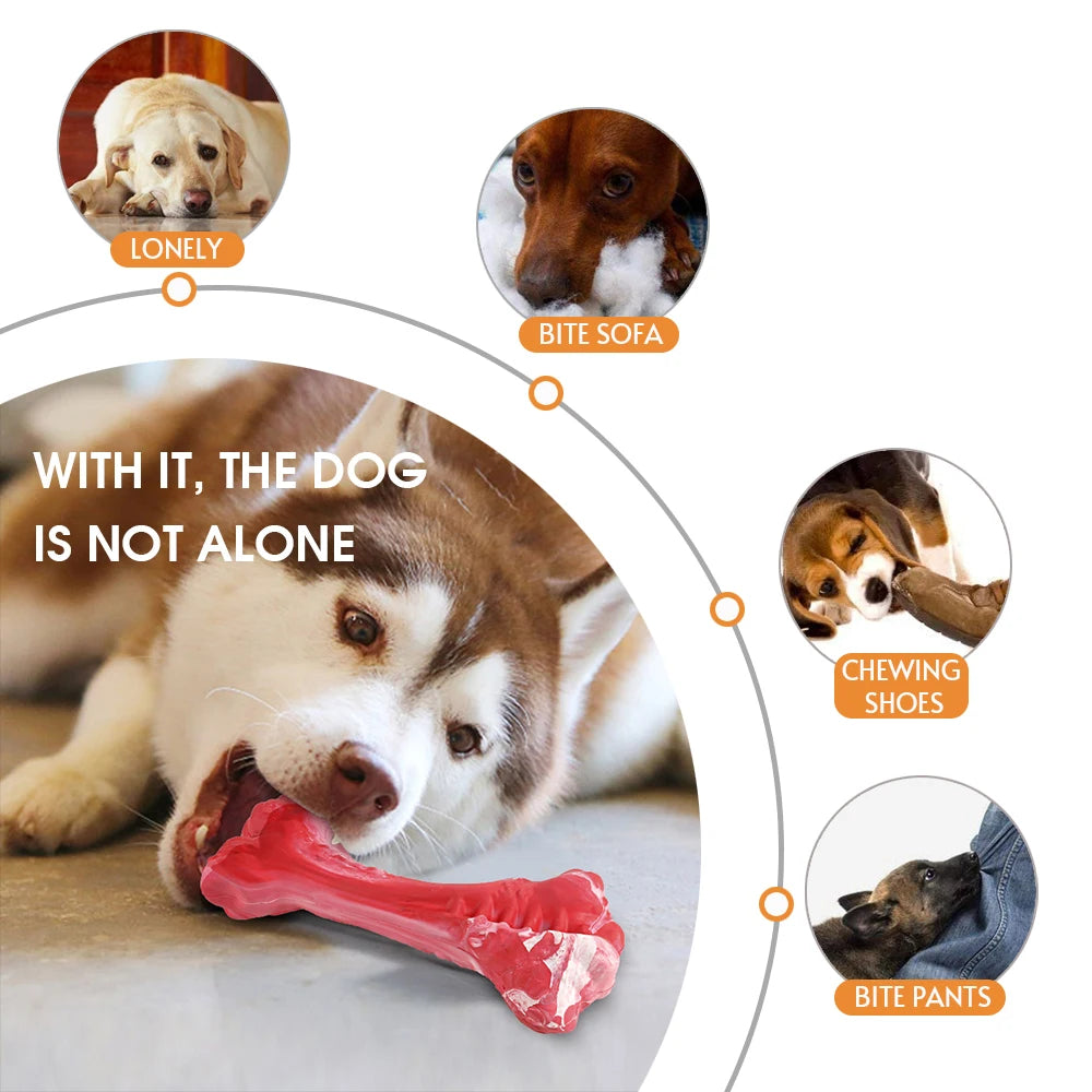 Durable Rubber Dog Bone Chew Toy with Treat Dispensing and Toothbrush Cleaning Features