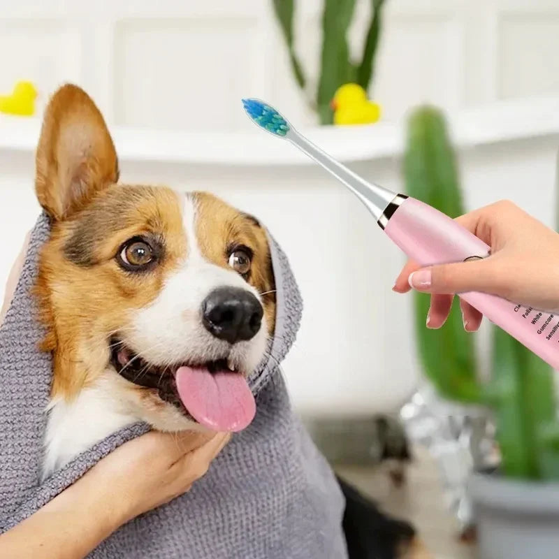 USB Rechargeable Electric Pet Toothbrush for Dogs and Cats with Replacement Brush Head