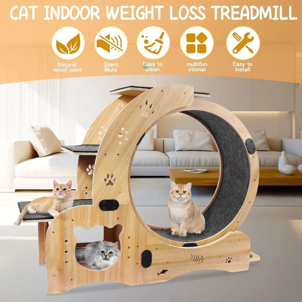 Upgraded 6-in-1 Cat Exercise Wheel Large Silent Treadmill for Indoor Cats