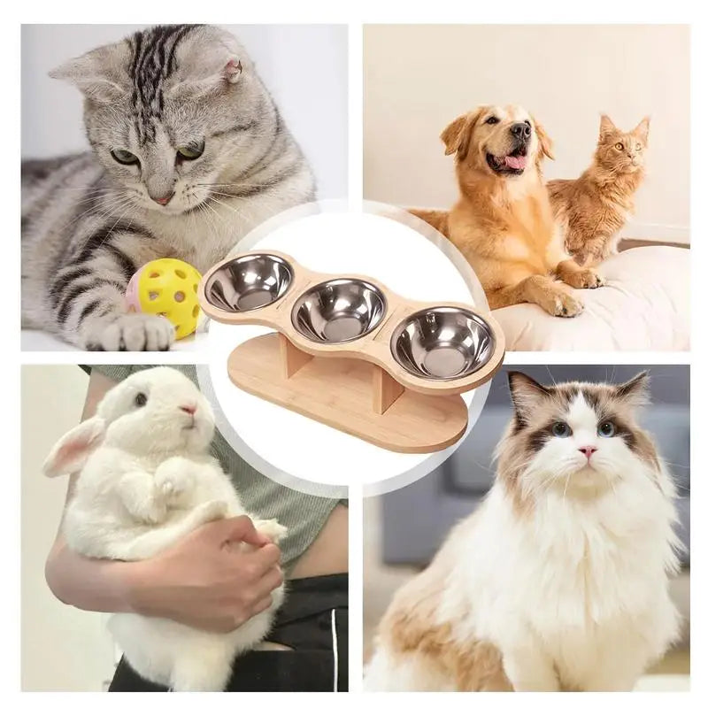 Elevated Cat Bowls With 3 Stainless Steel Bowls For Food And Water
