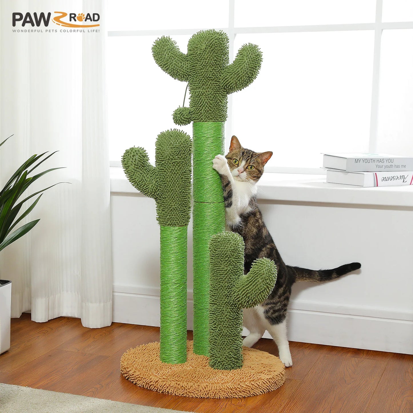 Cactus Cat Scratching Post with 3 Poles and Dangling Ball