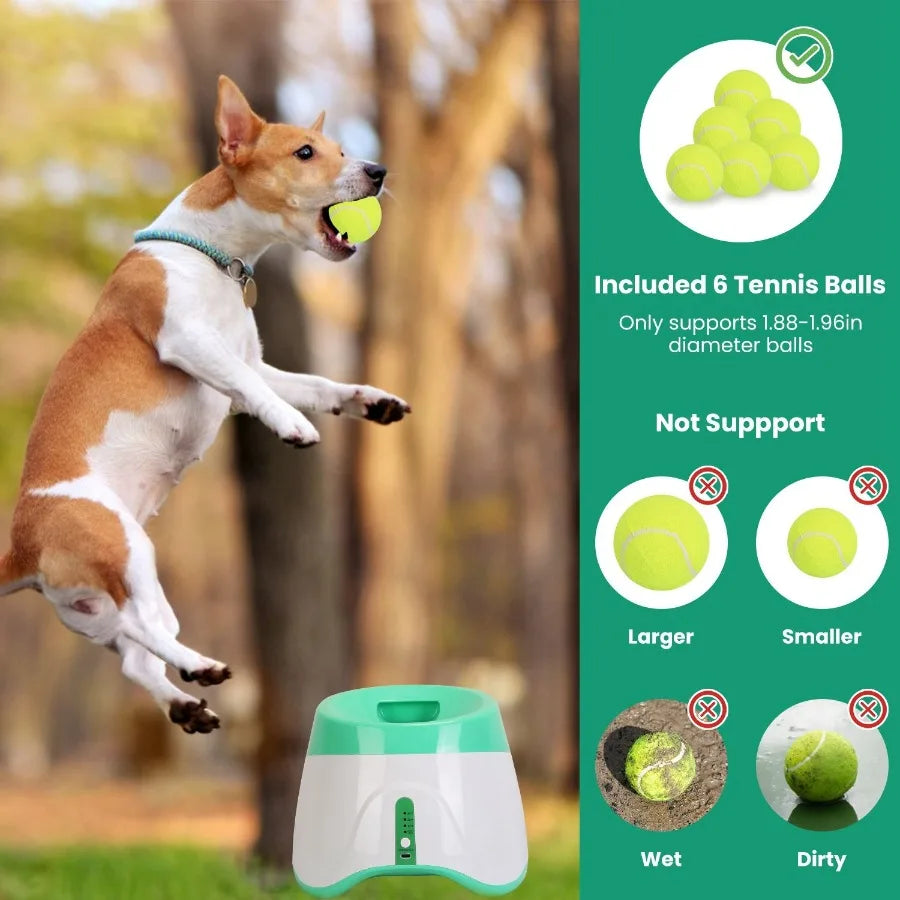 Automatic Dog Ball Launcher With 6 Tennis Balls And Adjustable Launch Distance Fetch Machine