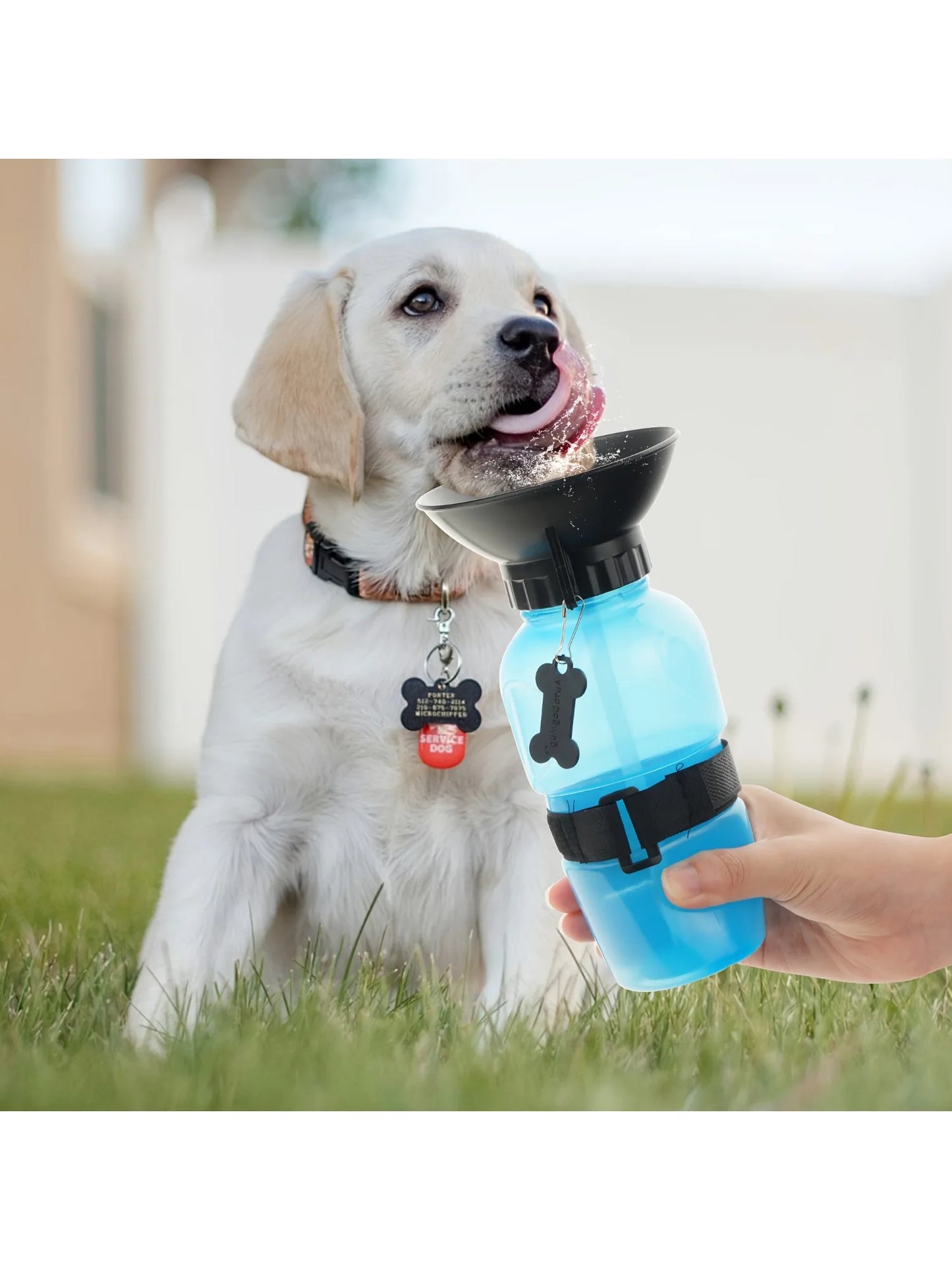 Dog Water Bottle Portable Travel Dispenser For Dogs Cats Outdoor Hydration Kit