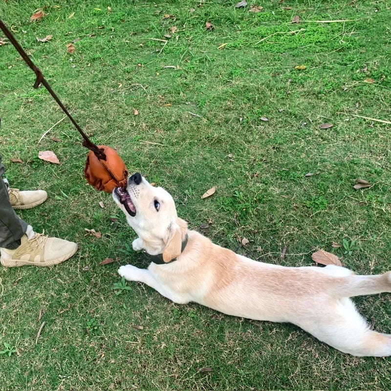 Leather Dog Training Ball Toy with Handle for Fetch Play and Tug