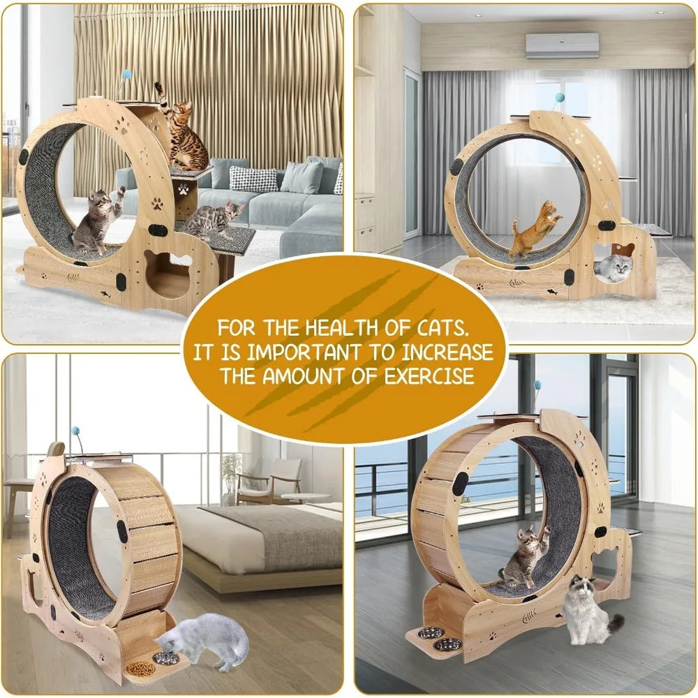 Upgraded 6-in-1 Cat Exercise Wheel Large Silent Treadmill for Indoor Cats