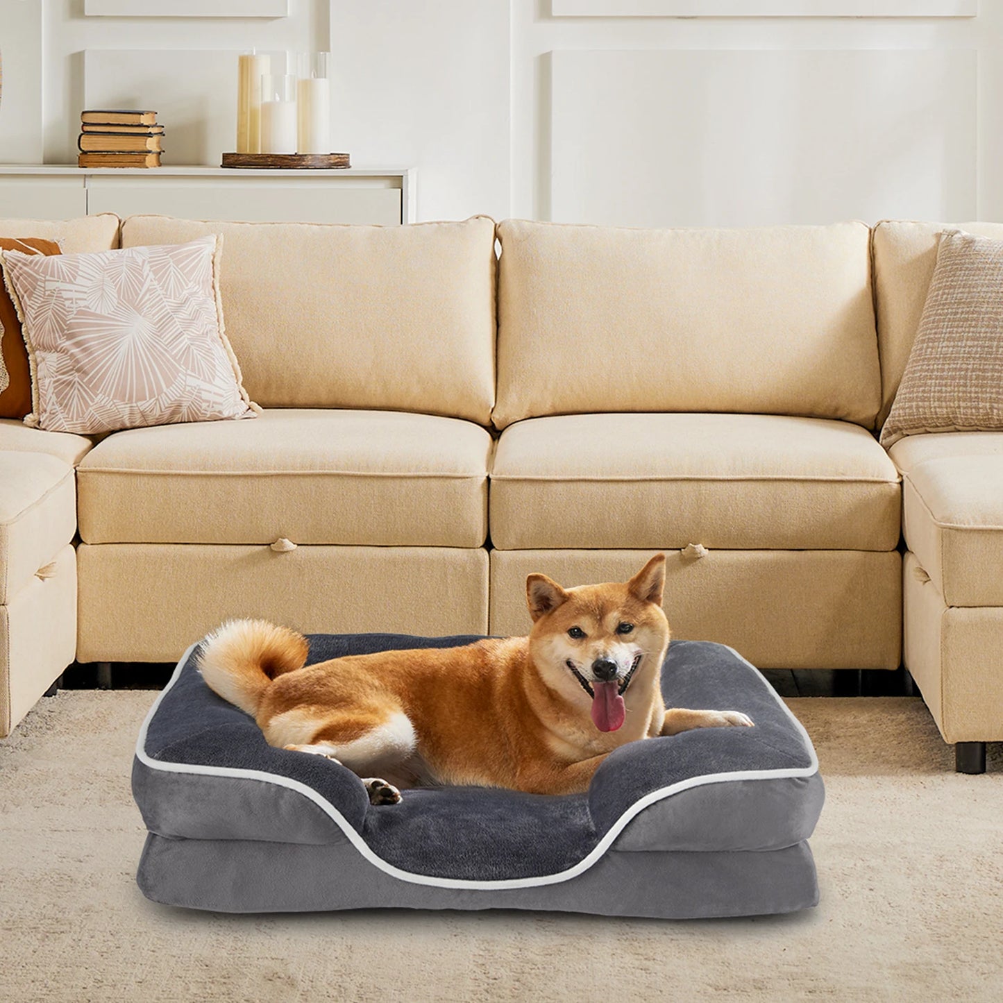 JHK Orthopedic Memory Foam Dog Bed for Small Pets with Washable Cover and Non-Slip Base