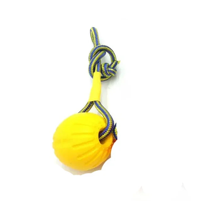 EVA Floating Dog Training Ball with Rope Chew Toys for Pets