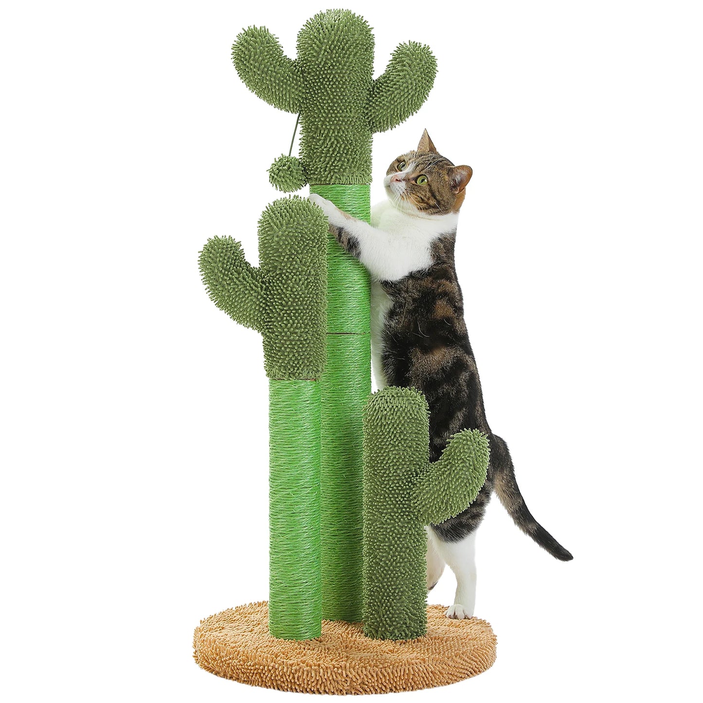 Cactus Cat Scratching Post with 3 Poles and Dangling Ball