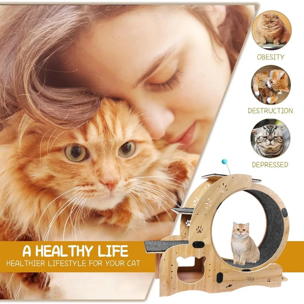 Upgraded 6-in-1 Cat Exercise Wheel Large Silent Treadmill for Indoor Cats