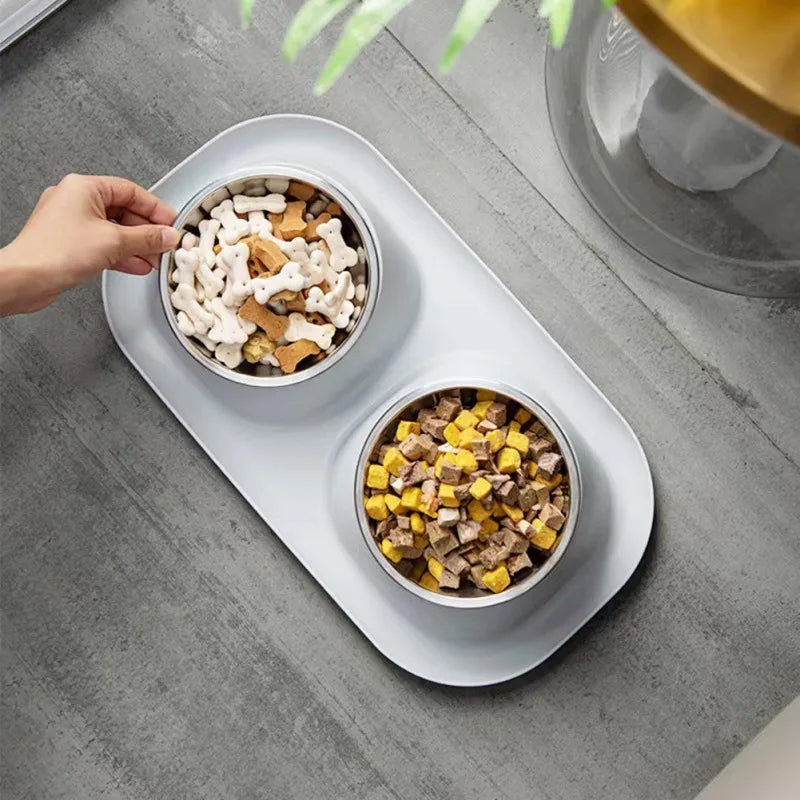 Stainless Steel Double Cat Dog Bowl With Non-slip Base