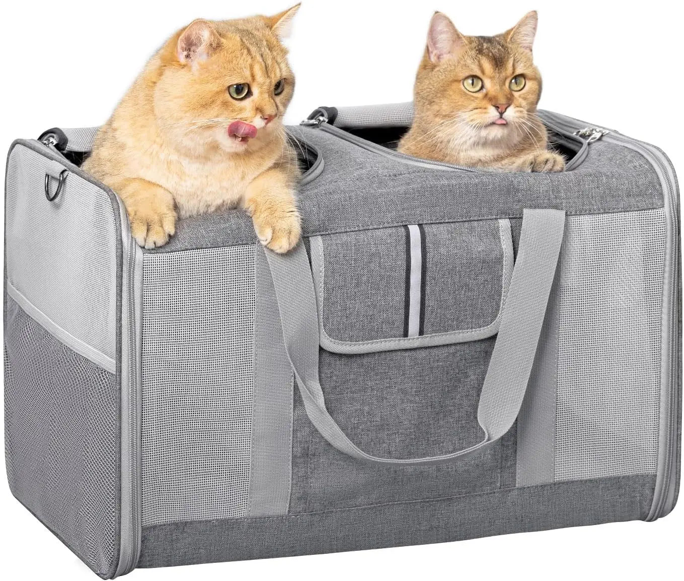 Large Cat Pet Carrier for Cat and Dog with Great Ventilation and Easy Mobility