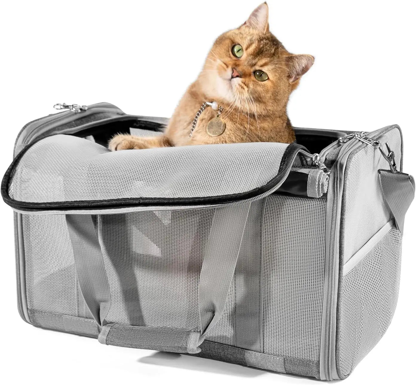 Large Cat Pet Carrier for Cat and Dog with Great Ventilation and Easy Mobility