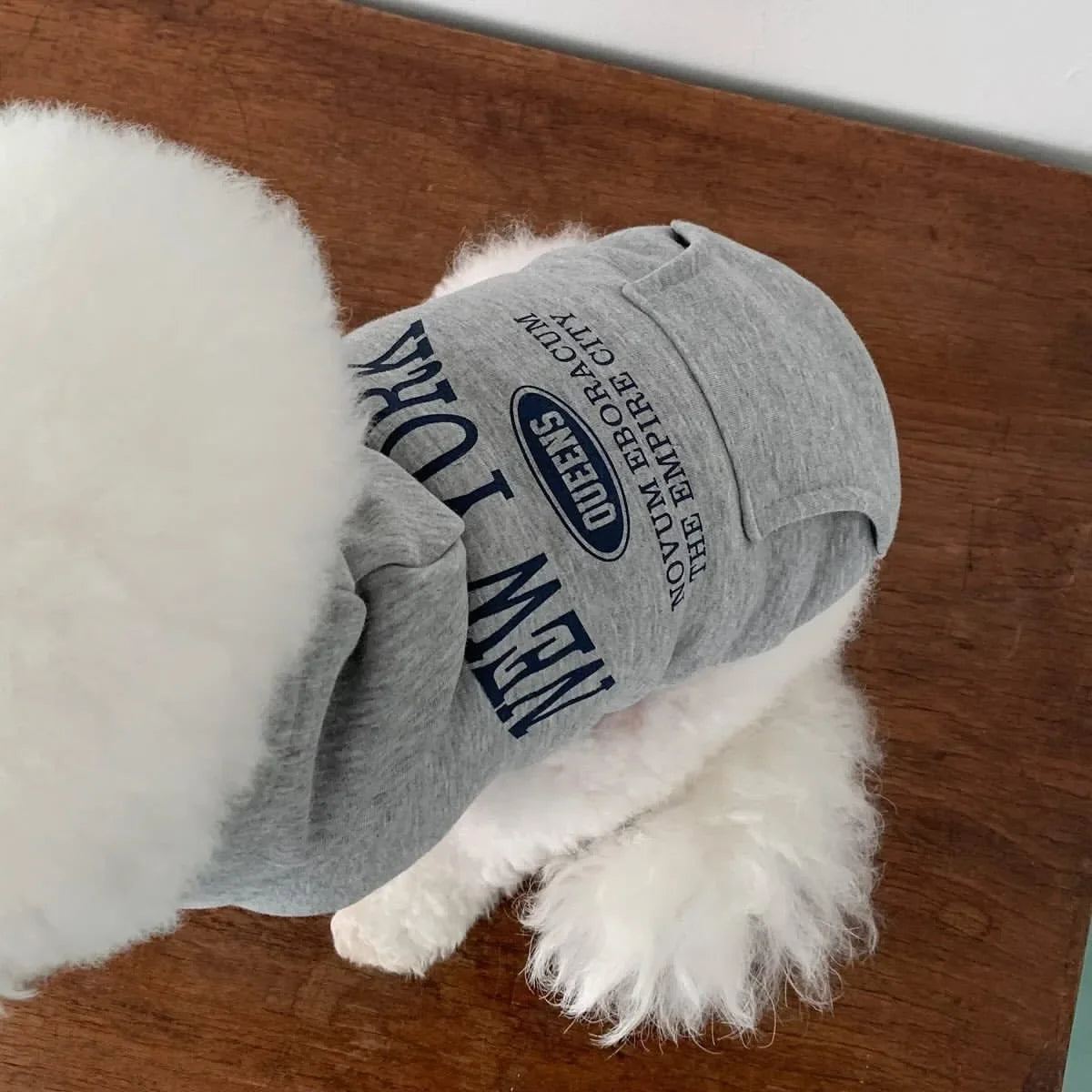 Autumn Winter Dog Sweatshirts With Teddy Letter Print Fleece Hoodies