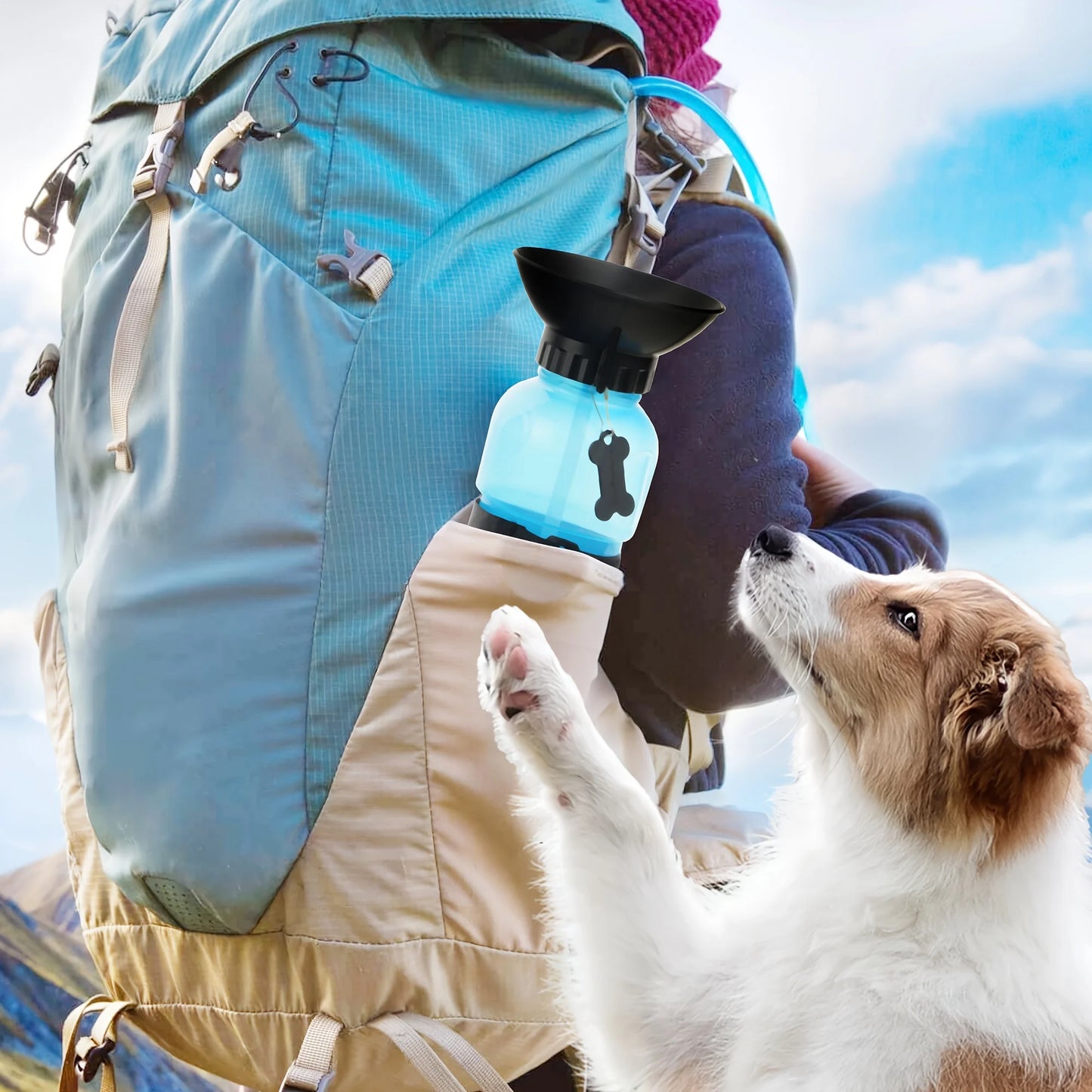 Dog Water Bottle Portable Travel Dispenser For Dogs Cats Outdoor Hydration Kit