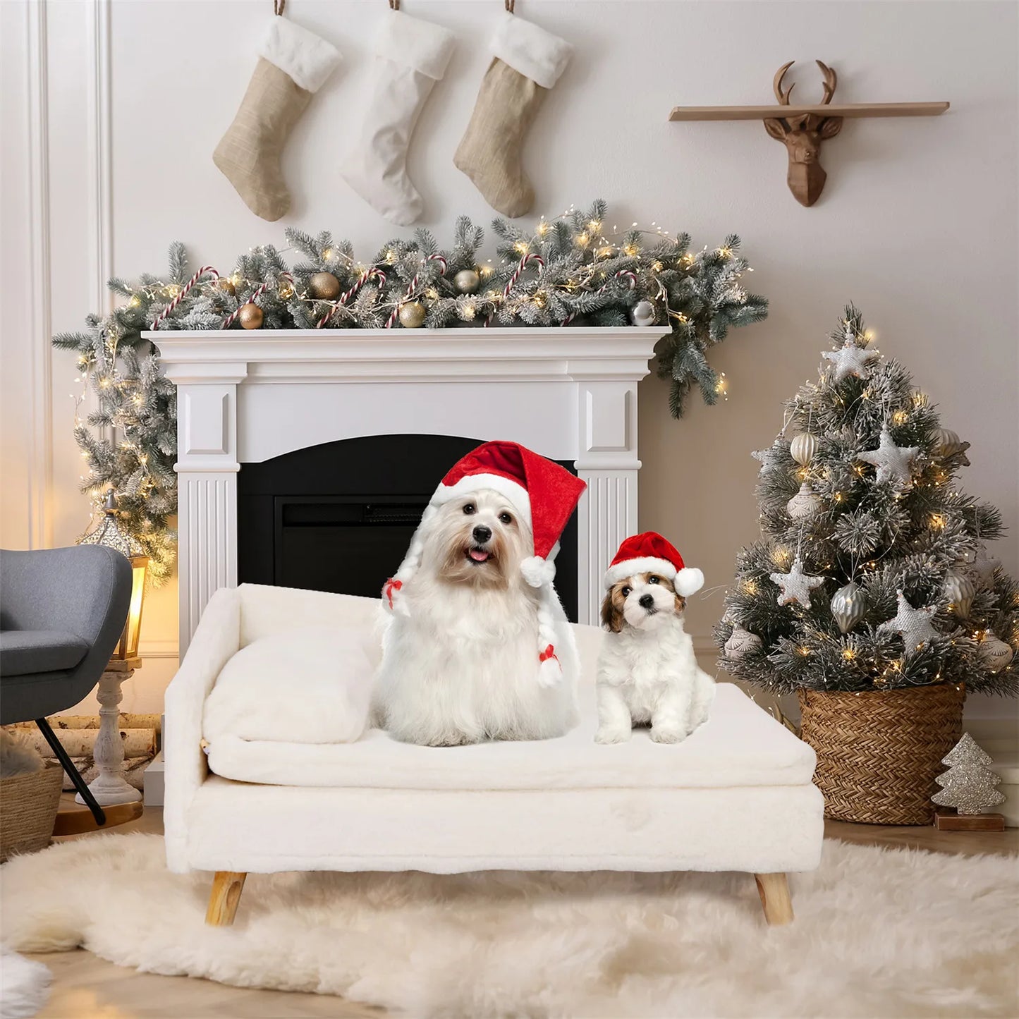 Elevated Pet Bed Nordic Pet Stool Bed with Cozy Waterproof Pad for Small Dogs