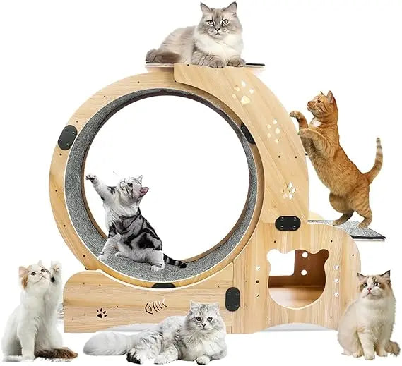 Upgraded 6-in-1 Cat Exercise Wheel Large Silent Treadmill for Indoor Cats