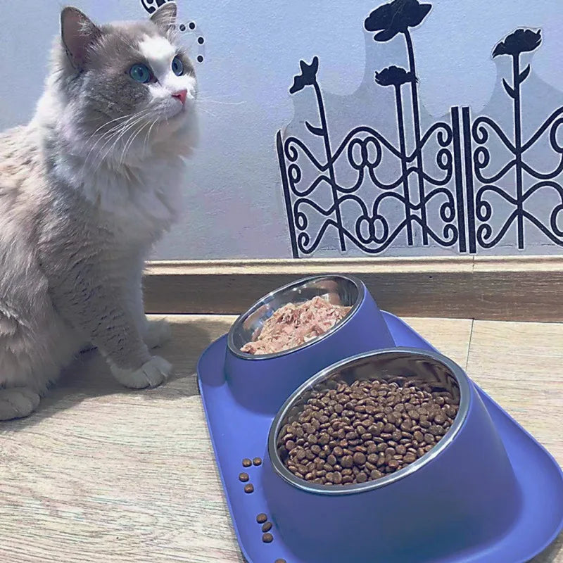 Stainless Steel Double Cat Dog Bowl With Non-slip Base