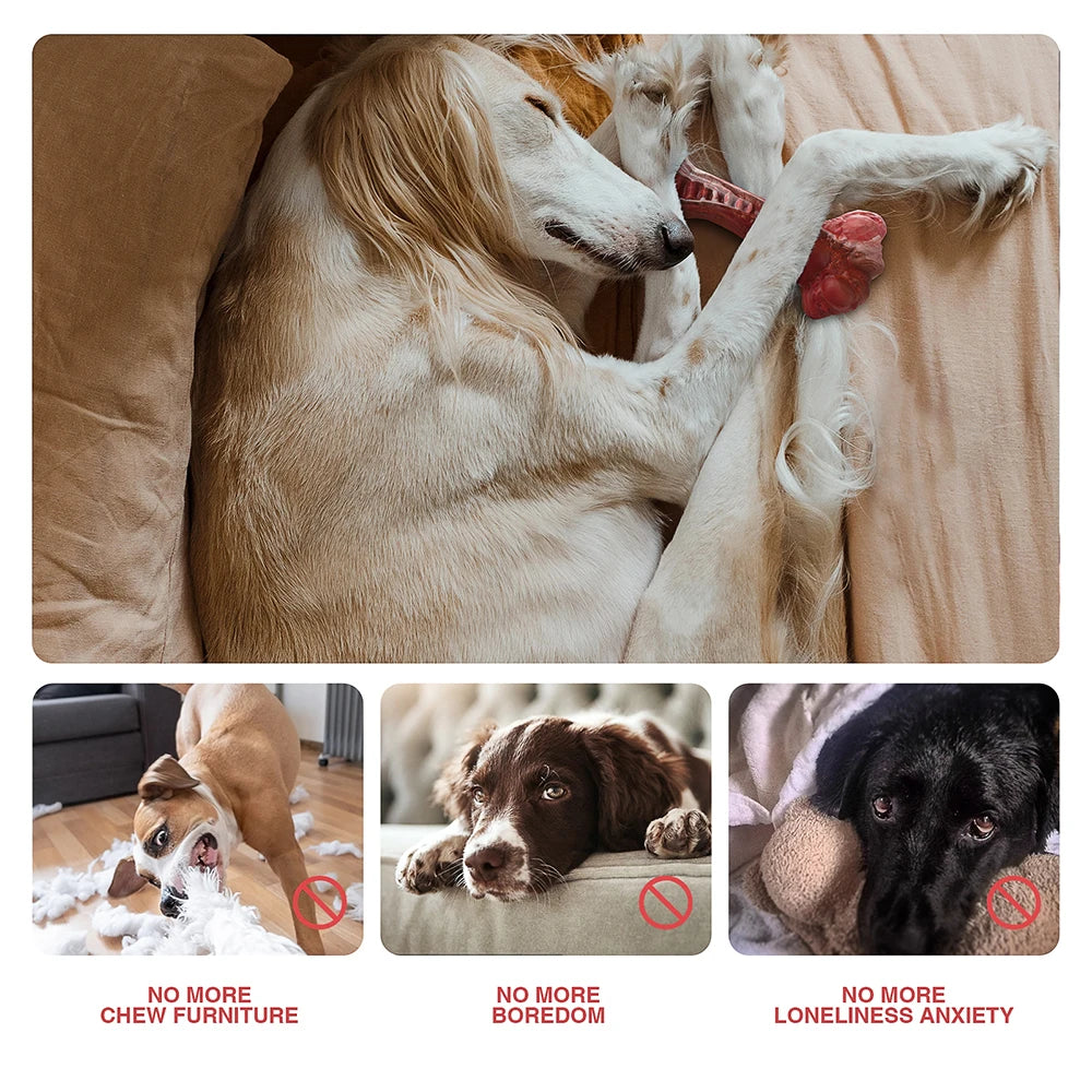 Masbrill Indestructible Dog Toys for Aggressive Chewers Bone-Shaped Nylon Chew Toys