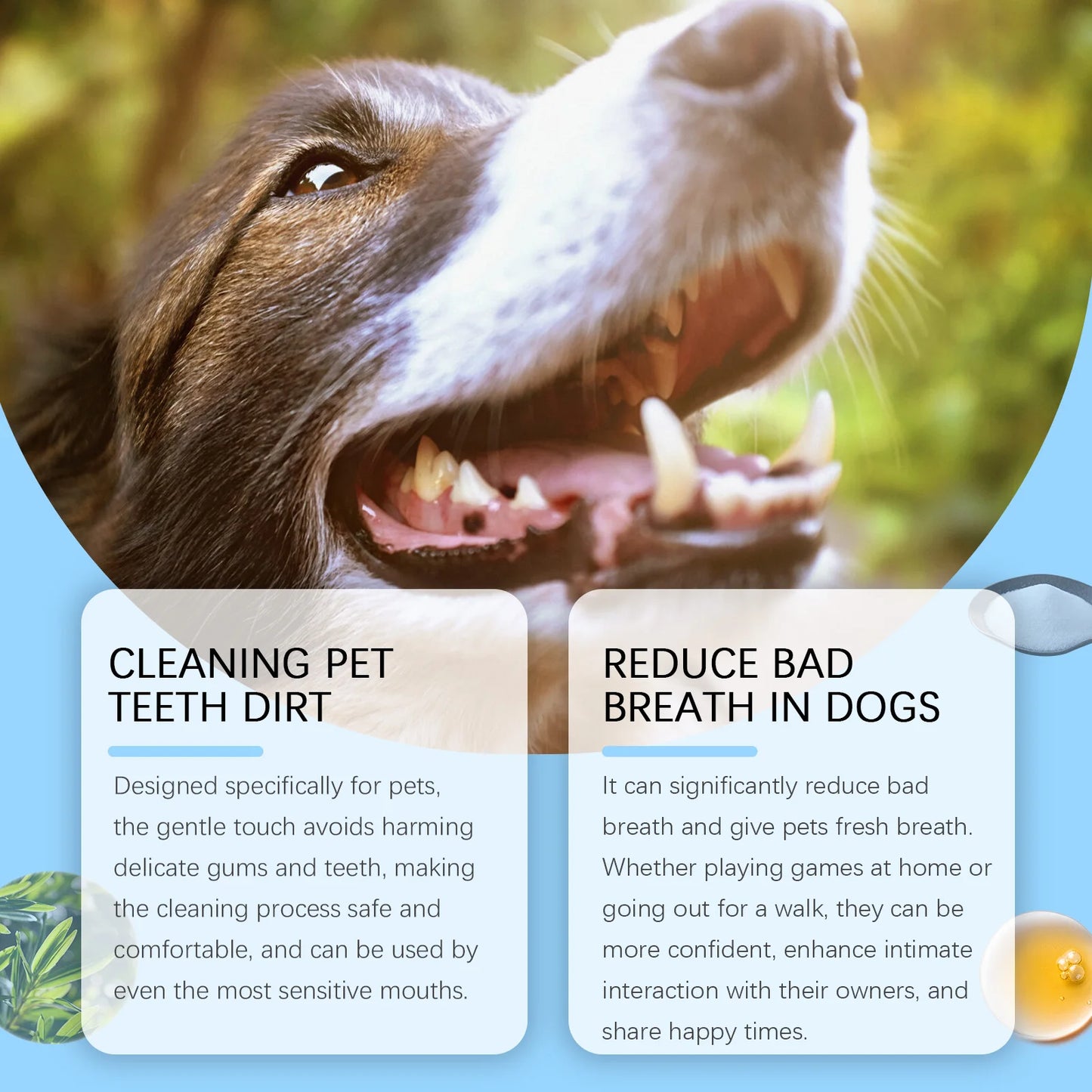 Gentle Pet Toothbrush for Fresh Breath and Tartar Prevention in Dogs and Cats