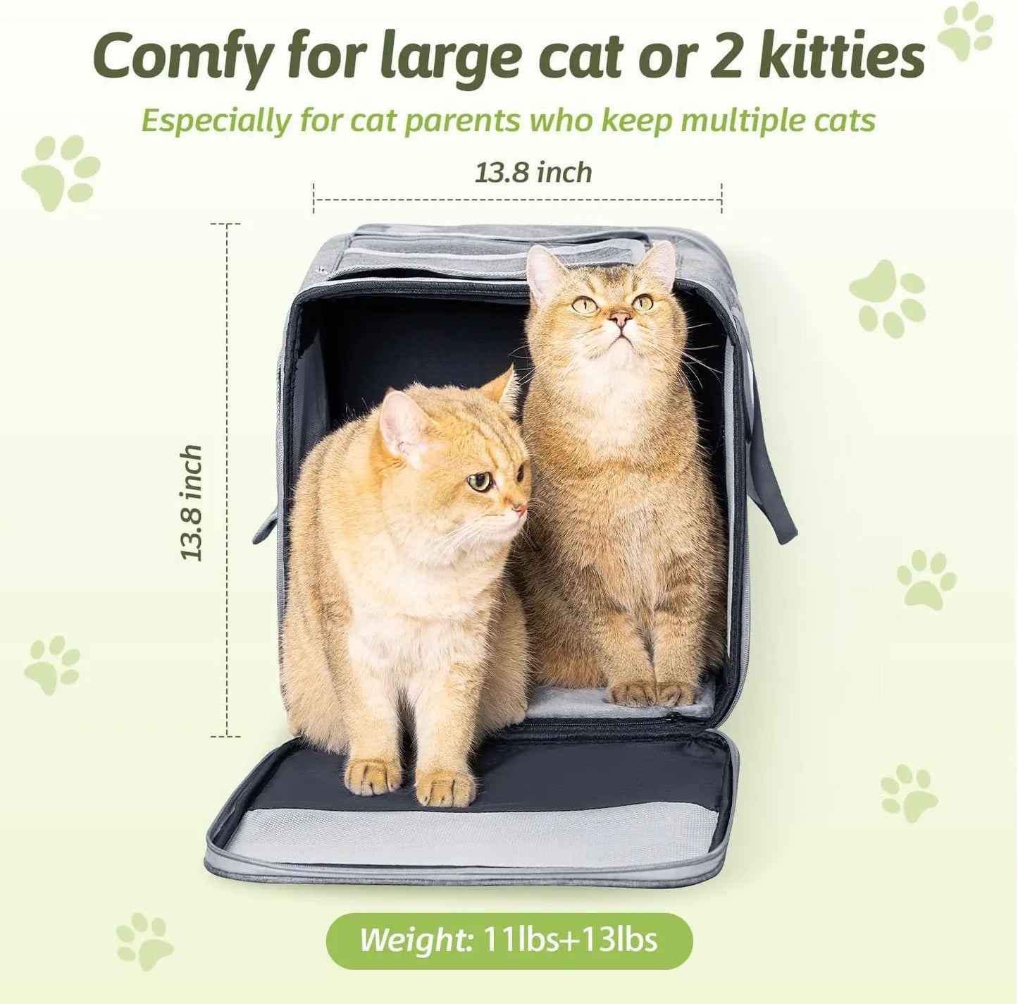 Large Cat Pet Carrier for Cat and Dog with Great Ventilation and Easy Mobility