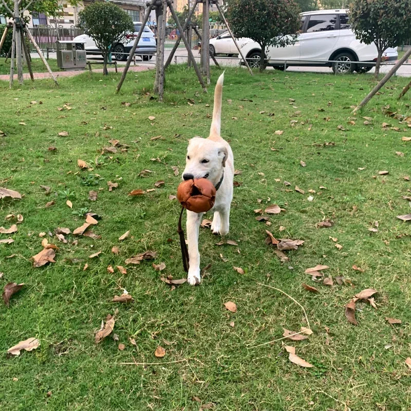 Leather Dog Training Ball Toy with Handle for Fetch Play and Tug