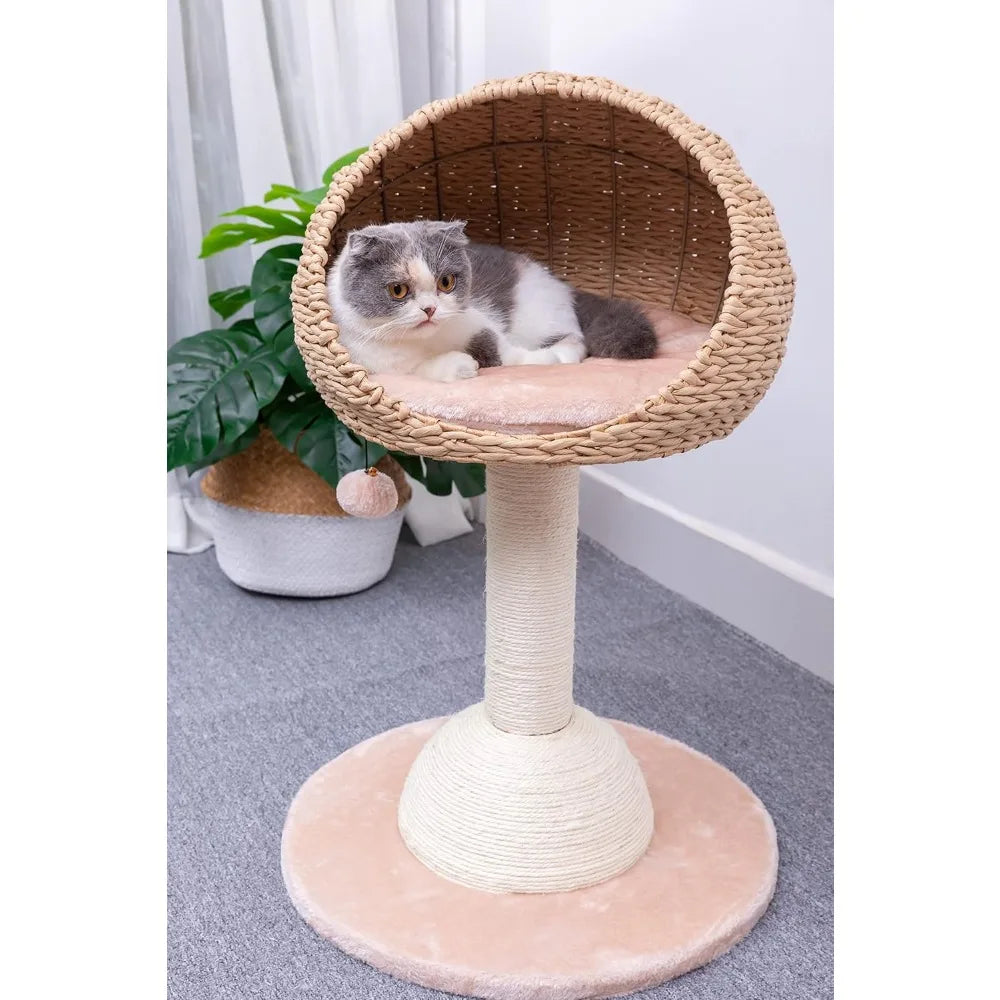 PetPals Eco-Friendly 3-Level Cat Tree with Sisal Scratching Posts and Playful Teaser Toy