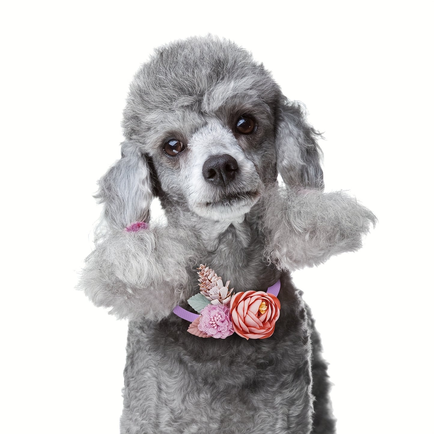 10 Pcs Floral Dog Bowties with Pearls for Weddings Parties and Photo Shoots