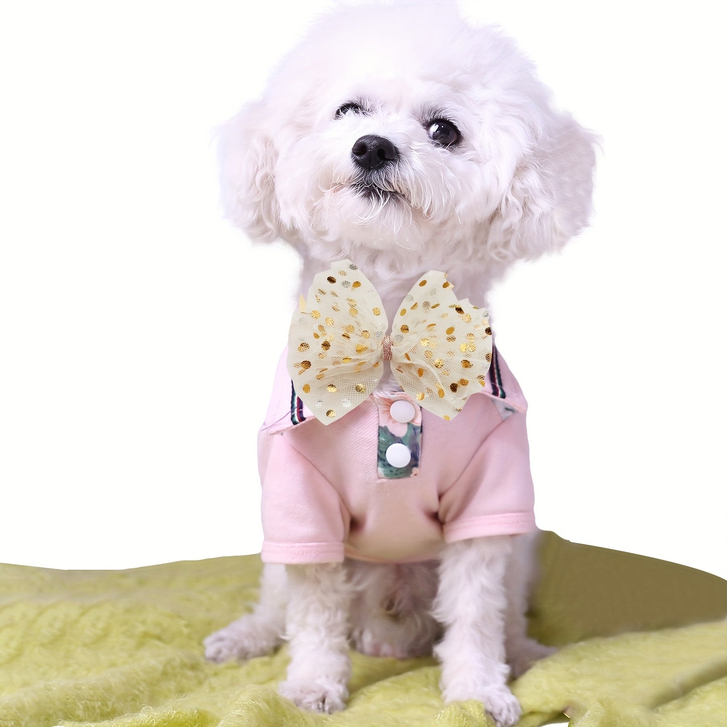 30 Piece Elegant Pastel and Bright Dog Bows for Small Medium Large Dogs Perfect for Parties and Photo Shoots
