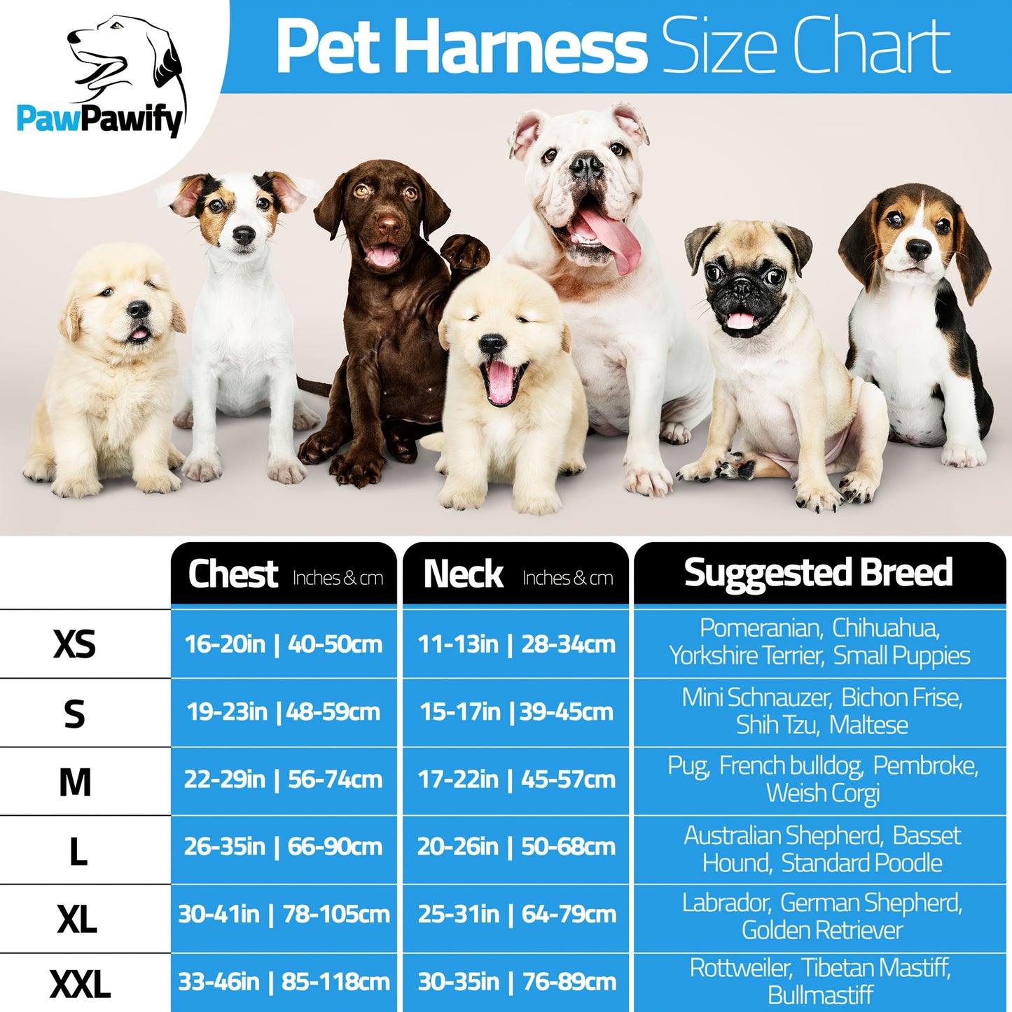 Customizable Polyester Dog Harness Name And Phone Number