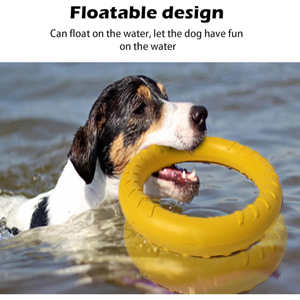 Indestructible XL Flying Disc Ring Dog Toy 12 Inch