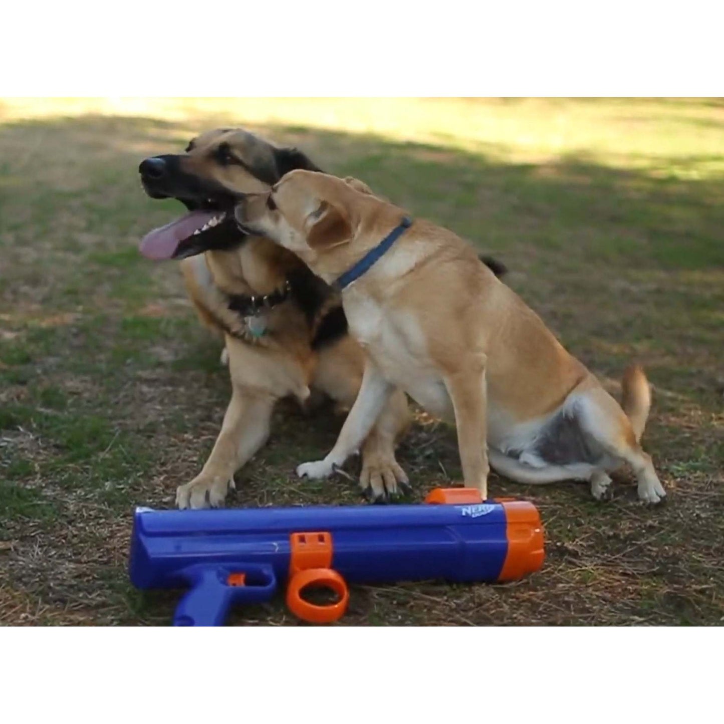 18 Inch Dog Tennis Ball Launcher With 3 Balls And Backpack
