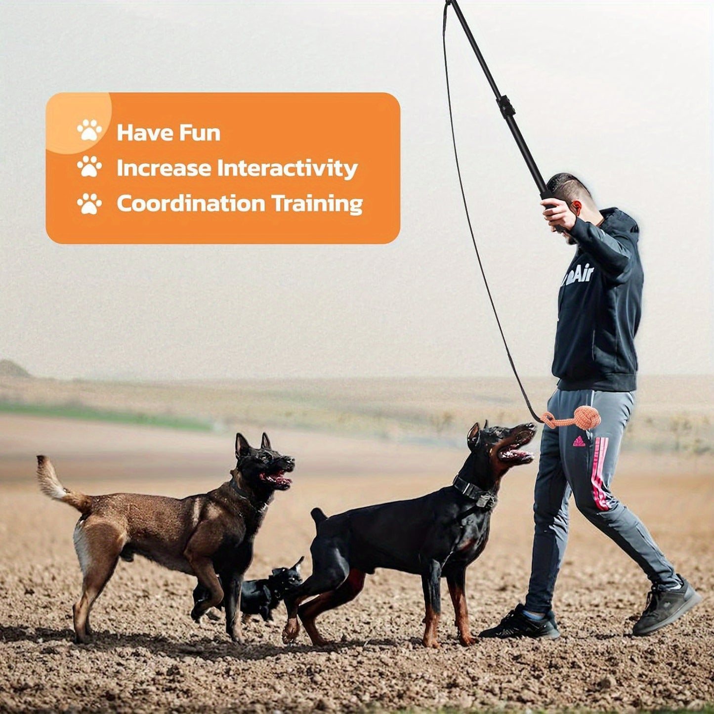Loobani Dog Flirt Pole With Detachable Toys 40 Inch
