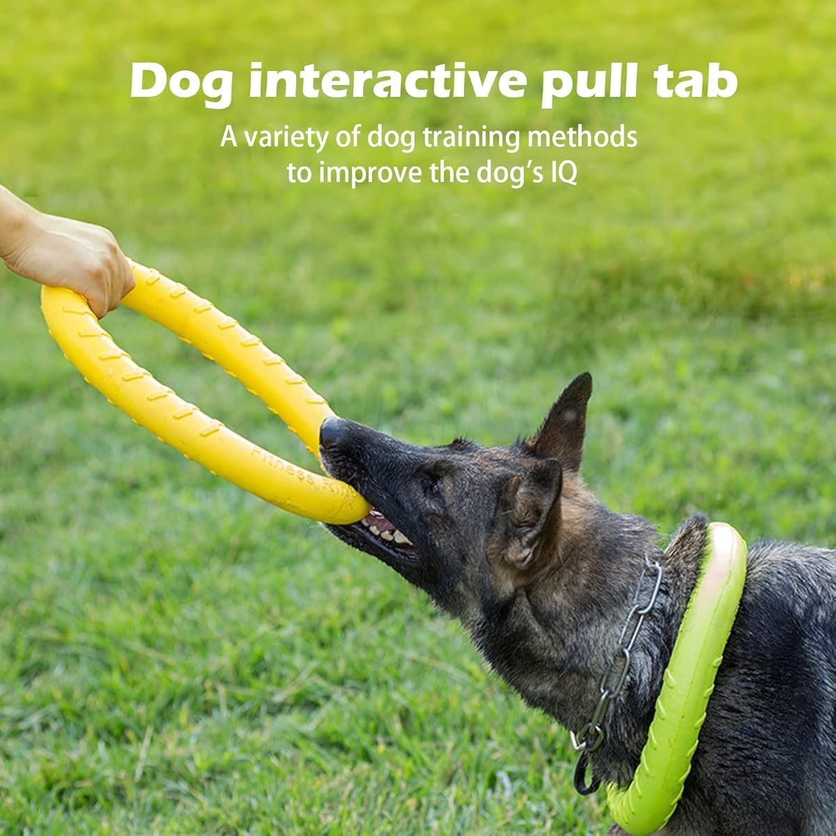 Indestructible XL Flying Disc Ring Dog Toy 12 Inch